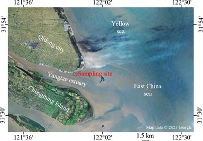 Cyclic threshold shear strain for pore water pressure generation and stiffness degradation in marine clays at Yangtze estuary